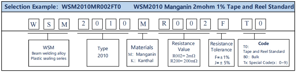 WSM2010