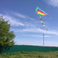 New Long Tail Rainbow Kite Outdoor Kites Coloring Kites For Kids Florescent Kites For Adults