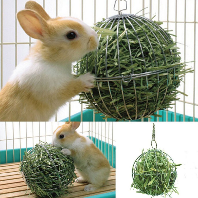 Small Pet Hamster Rabbit Toys Accessories Stainless Steel Round Ball Feed Dispensing Exercise Hanging Ball Toy Feeding Supplies