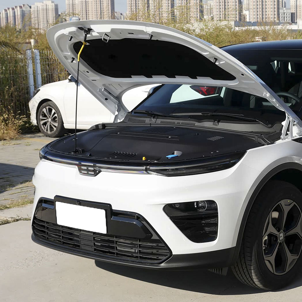 2022 Anniversary Limited Edition
