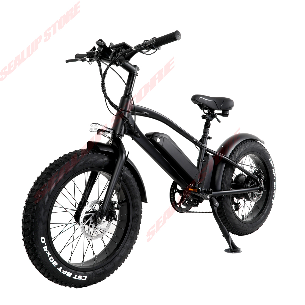 4.0 48V12.8A 20" bike Electric Fat Tire ebike Folding 750W 43KM/H Powerful electric Bicycle Mountain/Snow/beach e bike