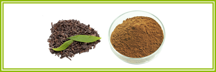 puer2