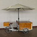 Electric pedal tricycle fruit snack vending cart, coffee drink food bike with water sink