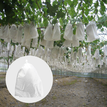 20/50pcs Grape Protection Bag Anti-Bird Moisture Insect Net Bag Vegetable Fruit Protect Breeding Bag Prevent Fruit Tree Bags