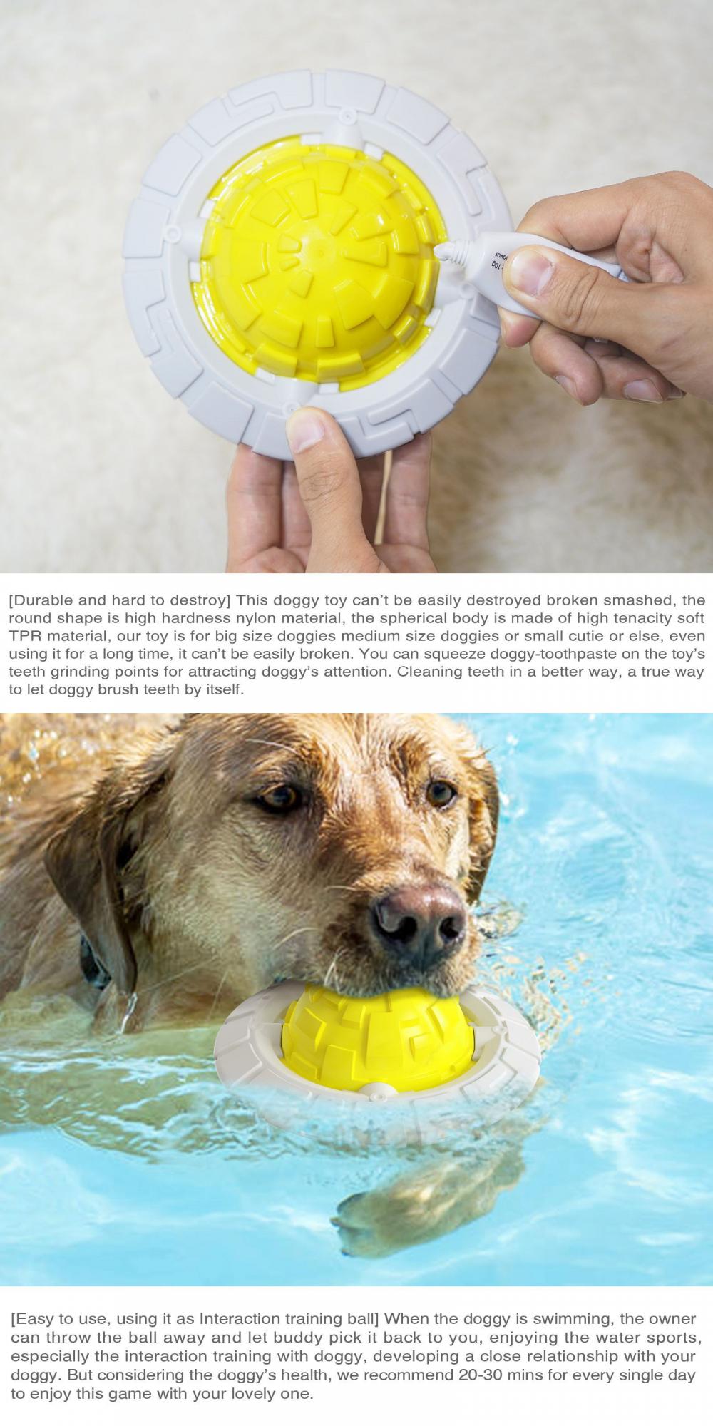Dog Toy Information 4 Jpg