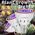 E27 220V LED Grow Light GU10 Fitolamp E14 LED Lamp For Plants 48 60LEDs Full Spectrum MR16 Phyto Lamp GU5.3 Seedling Plant Light