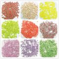 3D Multi-designs 1000 pcs/1 bag Fruit Slices Nail Art DIY Designs Nail Art Slices For Slicing Nail Art Decoration PB10-1-32