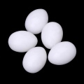 5pcs/lot Pigeon False Eggs Filled Plastic Simulation For Hatch Breeding Supplies