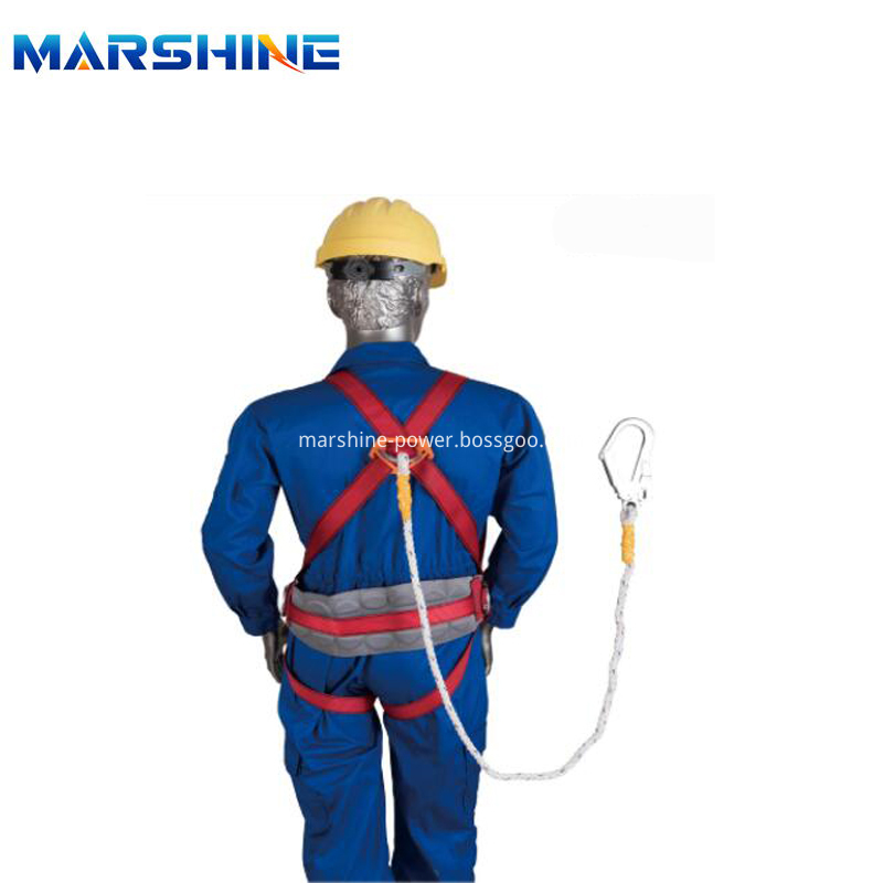 Safety Works Lanyard Body and Fall Protection (5)