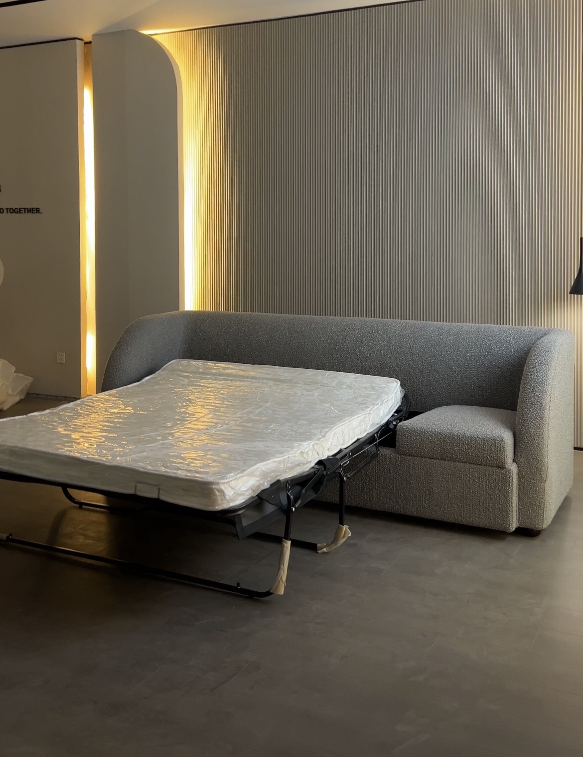 sleeper sofa