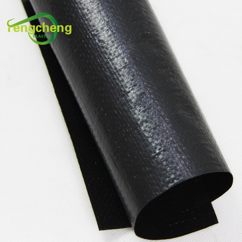 Fish Farm Pond Liner Black Geomembrane Film