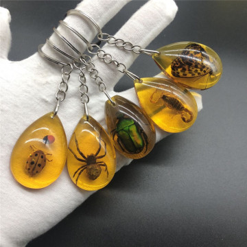 Charm Natural Amber+ Key chain Resin Insect Specimen Scorpion Butterfly beetle spider Key ring Jewelry Gifts for Women Men
