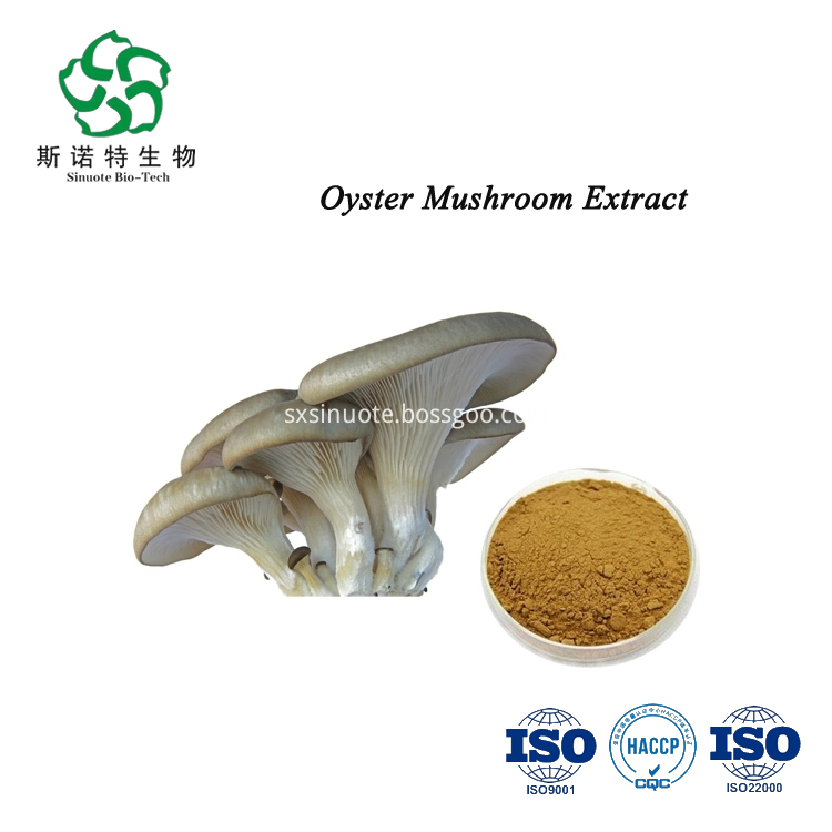 Oyster Mushroom Extract