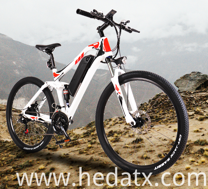 The Rise of Electric Mountain Bikes