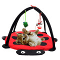 Pet Play Cat Tent Bed Funny Colorful Kitten Pad Cushion Exercise Folding Toy Hammock Bed For Cat Bed