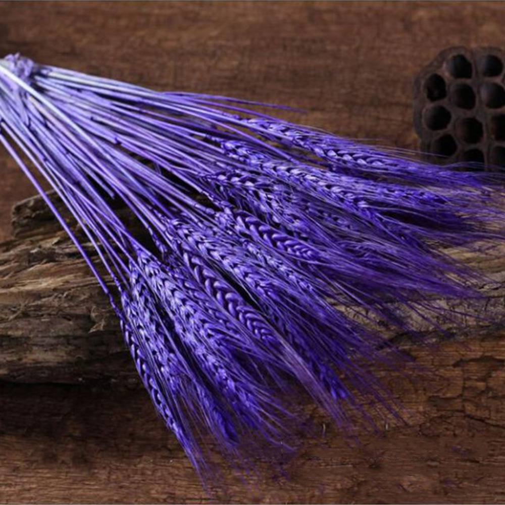 50Pcslot Real Wheat Ear Flower Natural Dried Flowers for Wedding Party Decoration DIY Craft Scrapbook Home Decor Wheat Bouquet 19