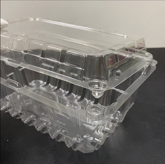 PET Fruit Plastic Container