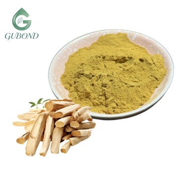 Astragalus Root Extract 20 1 Astragaloside HPLC Powder