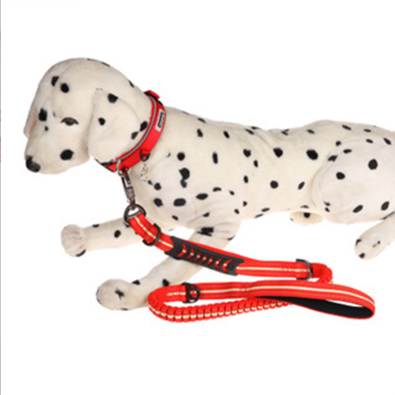 Dog Leash Double Handle