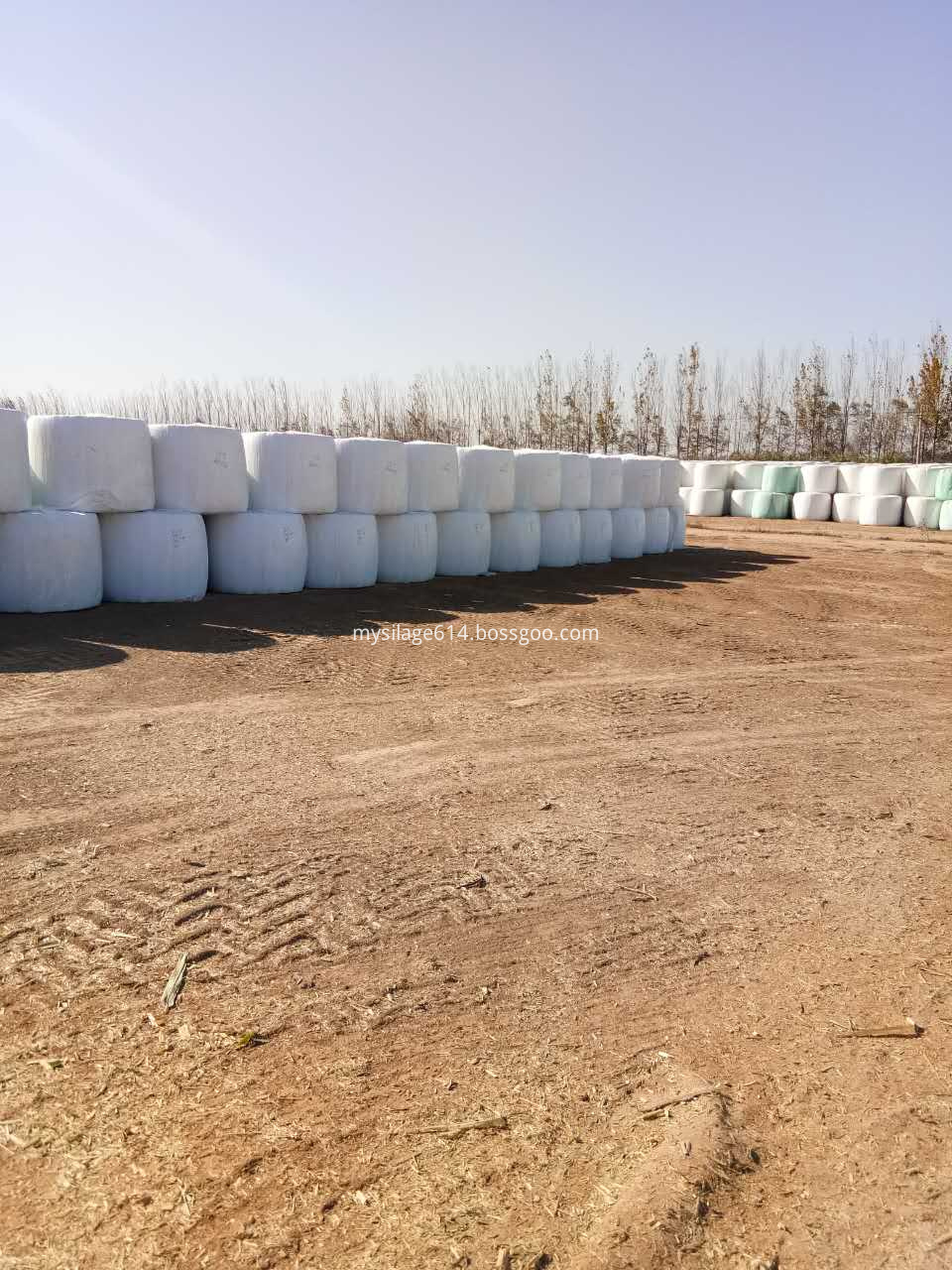 Corn Wrap Bale