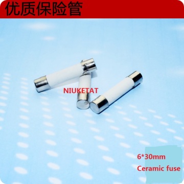 100pcs 6*30mm 10A 250V Ceramic fuse 6*30 10A 250V Ceramic New and original Free shipping