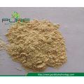 Best Price Dried garlic powder /Dehydrated garlic powder