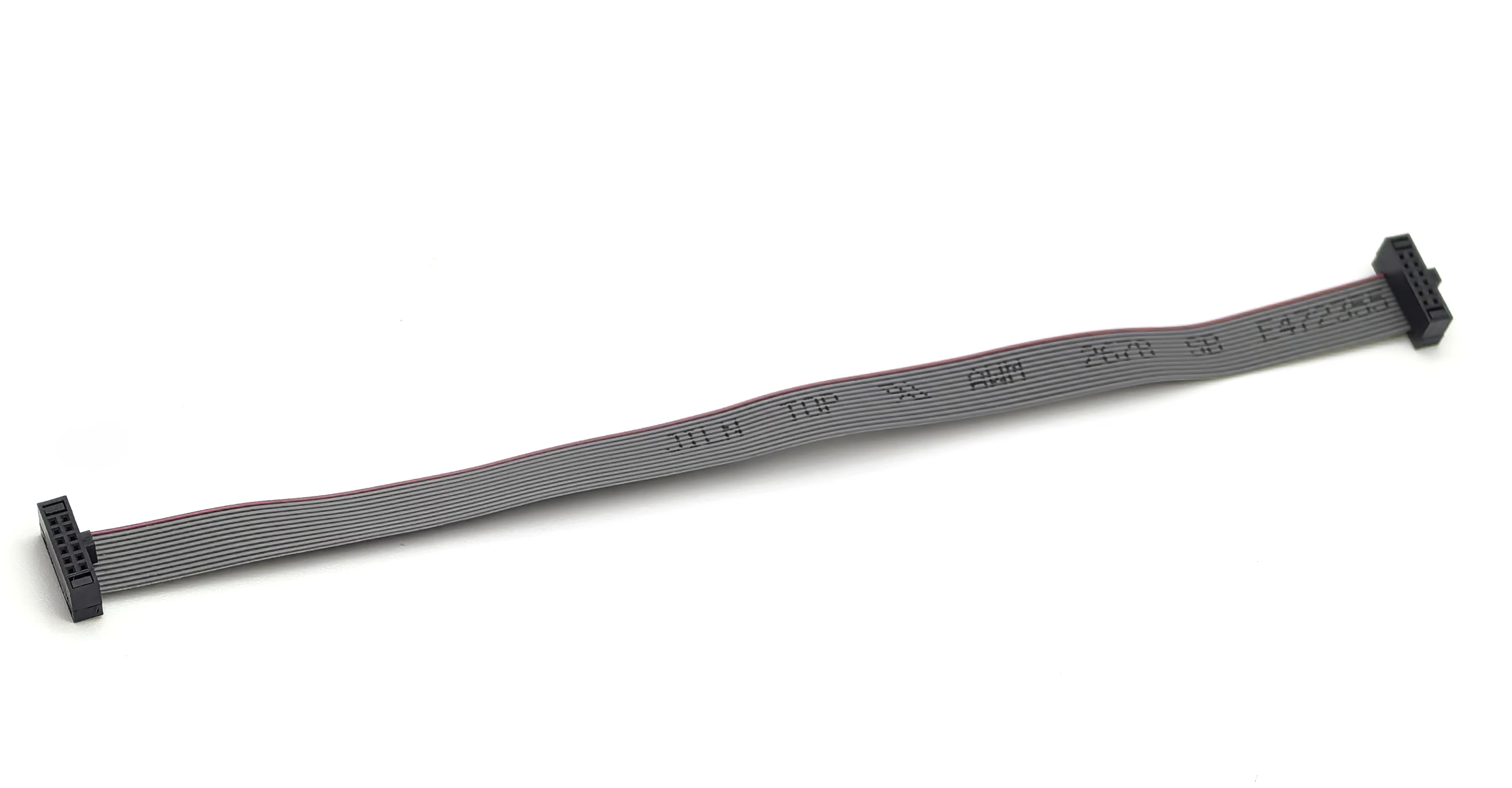 Main-02