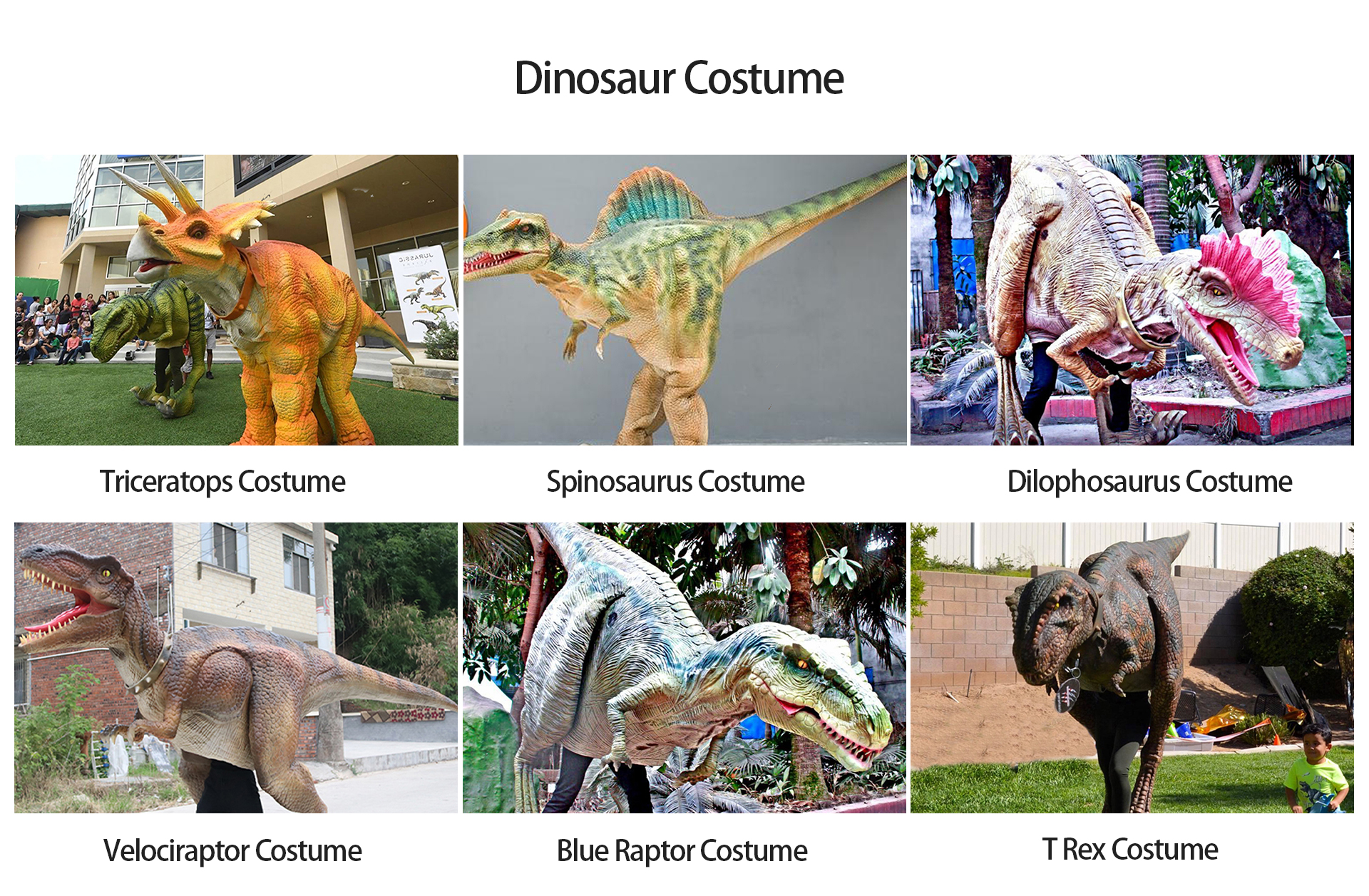 Dinosaur Costume