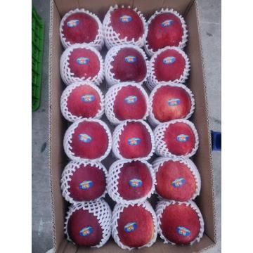 XIGUO SJ ZT Apples Ideal for Snacking and Cooking