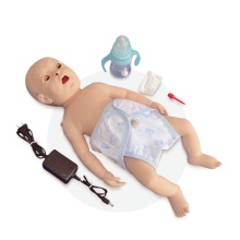 Interactive Infant Simulation Model