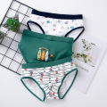 N1503 Brief 3p