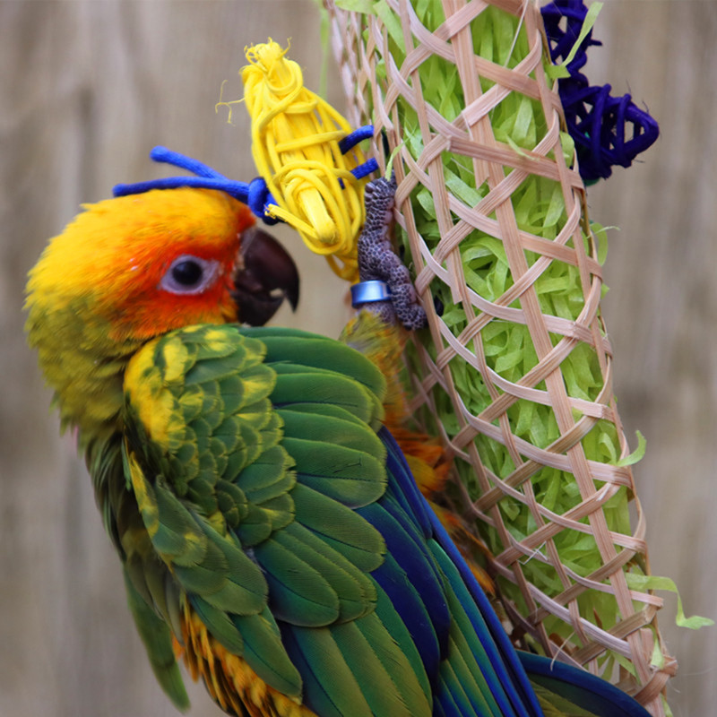 New Misterolina Grass Pet Bird Parrot Swing Cage Toy Foraging Toys Chew Bites For Parakeet Cockatiel Swing Cages Playing Toy