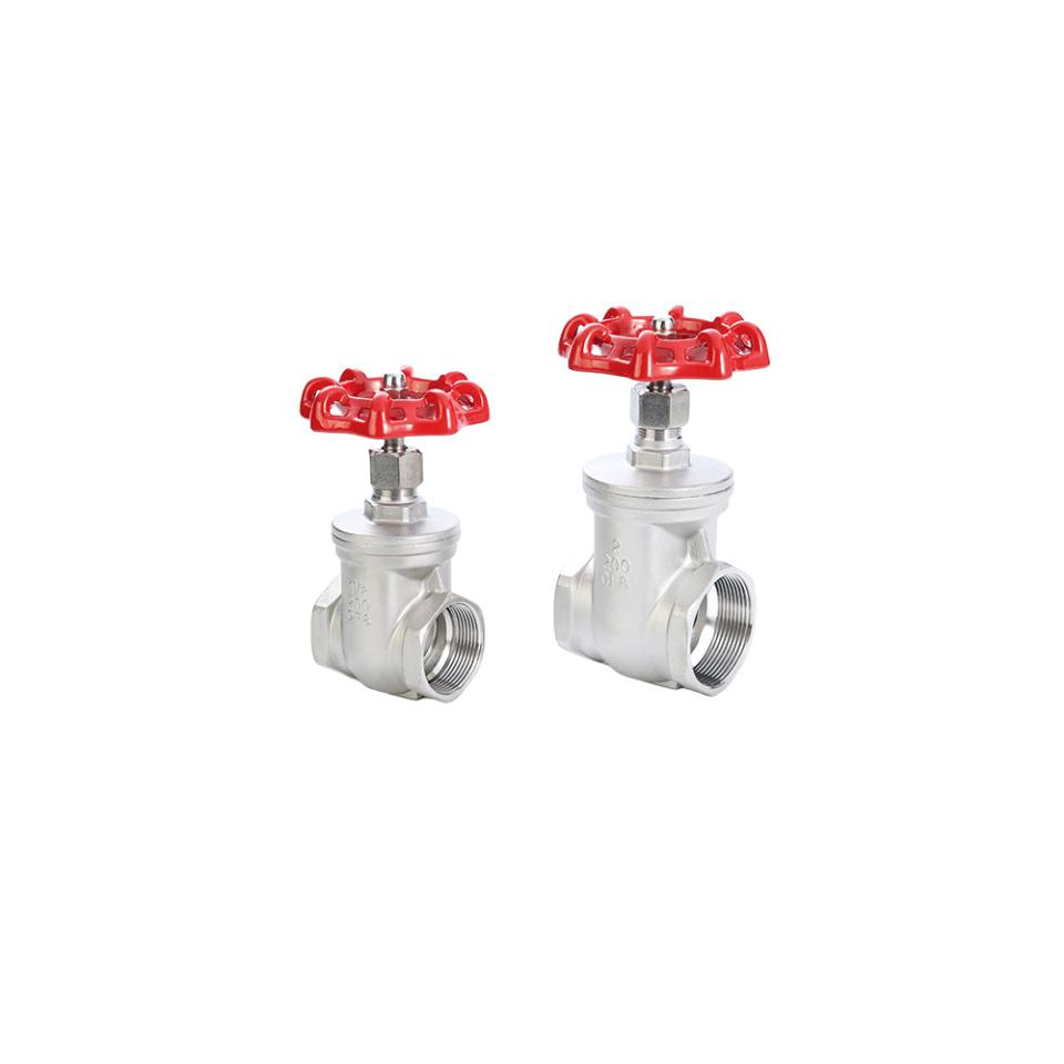 1 Inch Stainless Steel Gate Valve (4)