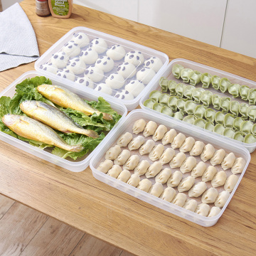 Dumpling Box Fresh Transparent Refrigerator Case Cakes Non-Stick Tray Meat Pastry Container Frozen Dumpling Box Food Storage