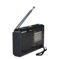 XHDATA D-328 Black Portable Radio AM FM SW 12 Bands with DSP/MP3 Music Player and TF Card Slot Packed with Rechargeable Battery