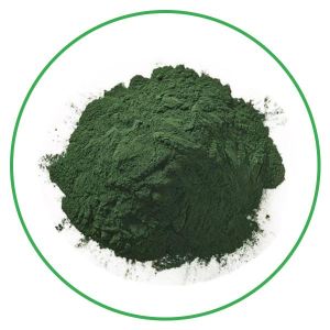 Hot sale spirulina powder with 65% protein