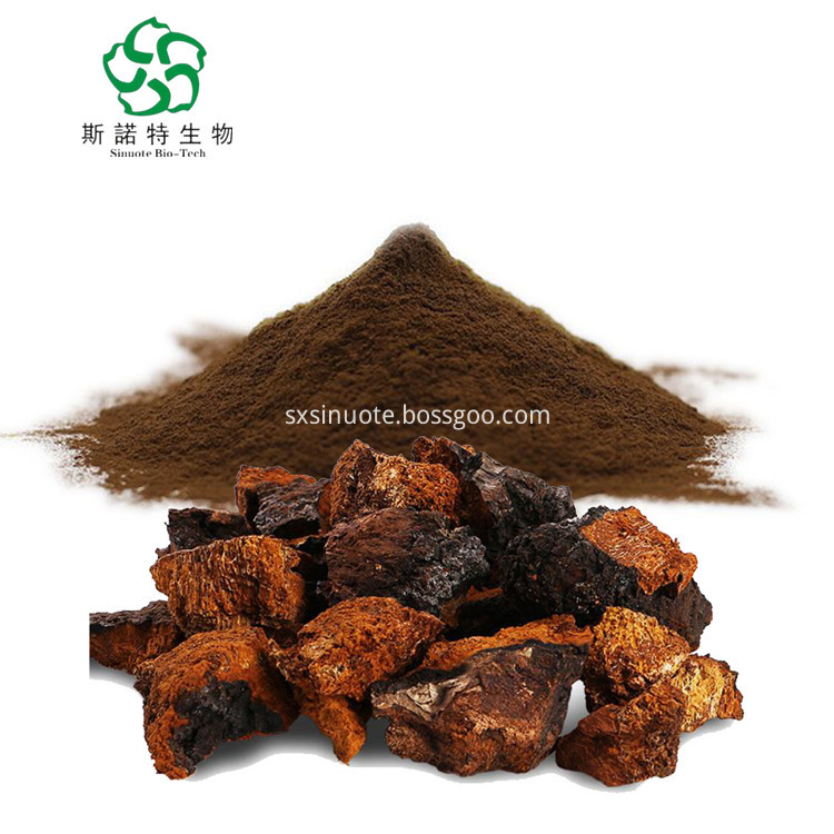 Chaga Powder For Nutrional Supplement