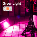 Grow Light