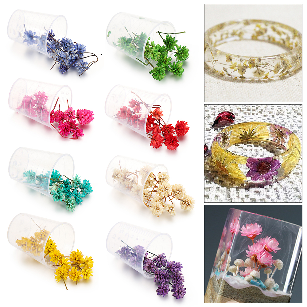 10Pcs/Box Branches Lantern Ball Dried Flowers UV Resin Crafts Decorative Flower Epoxy Mold DIY Crafts Jewelry Filling Materials