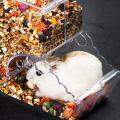 Hamster Automatic Feeder Transparent Food Dispenser Food Bowl Small Animals Hamster Feeding Watering Supplies