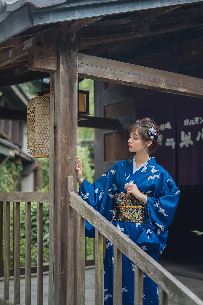 Women's Yukata Traditional Japan Kimono Robe Photography Dress Cosplay Costume Dark Blue Color Crane Prints Vintage Clothing