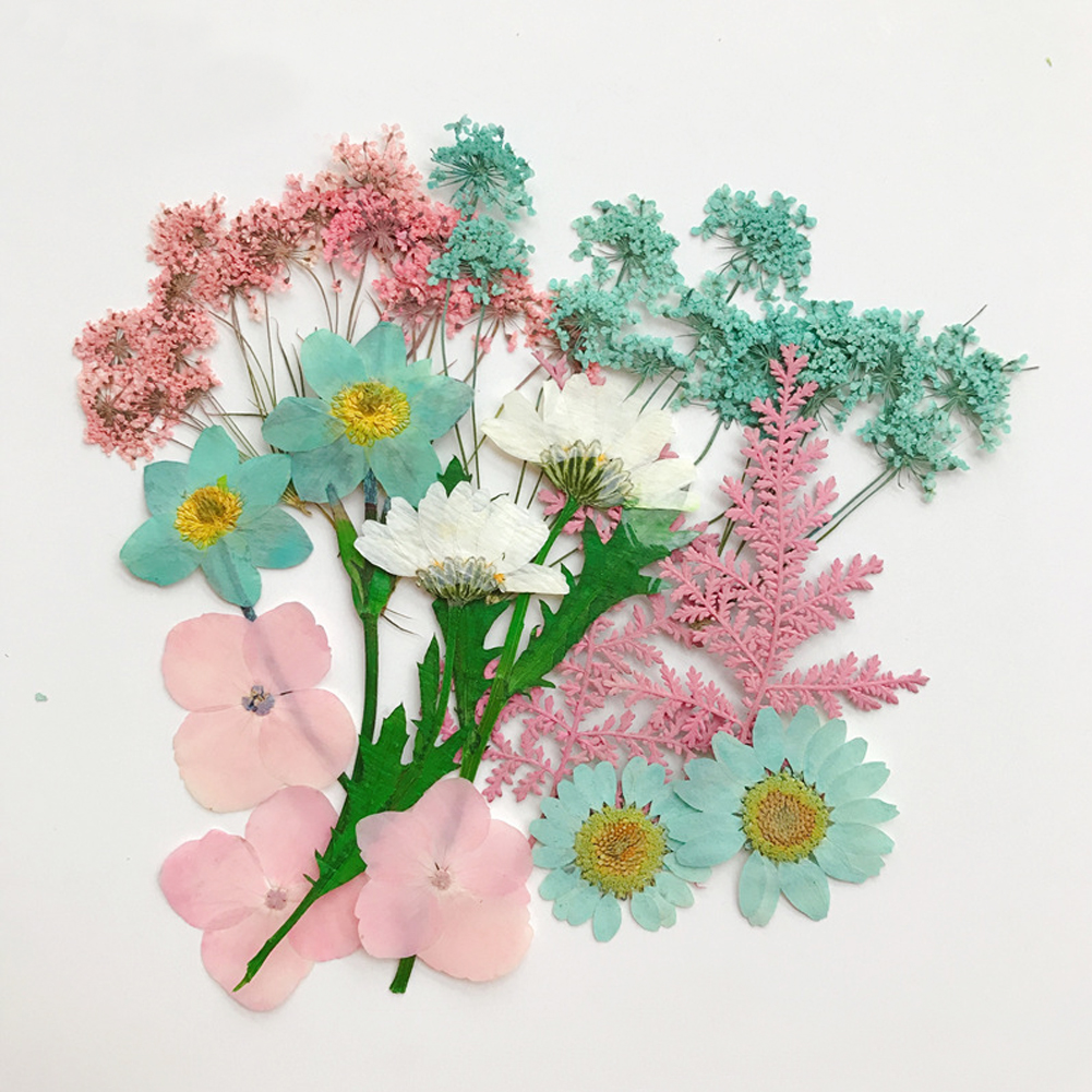 1 Set Natural Pressed Decorative Dried Flowers Dried Flower Petals Artificial Flowers DIY Nail Craft Phone Case Dried Flowers