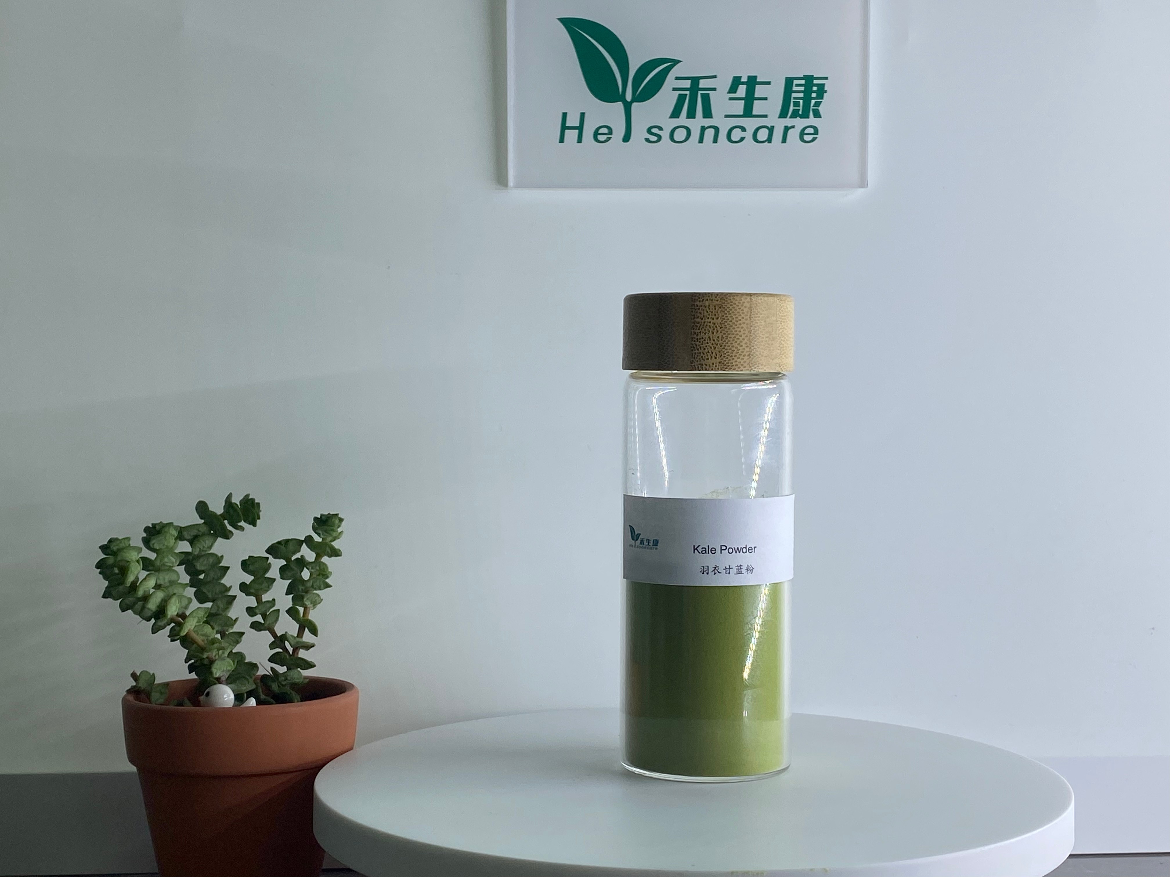 Green Kale Juice Powder 2(1)