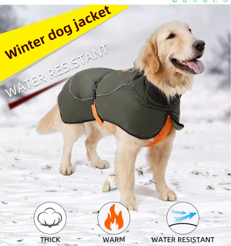 Dog Jacket