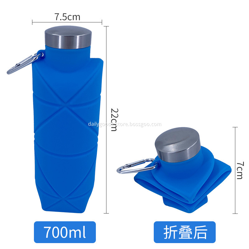  700ml bottle (10)