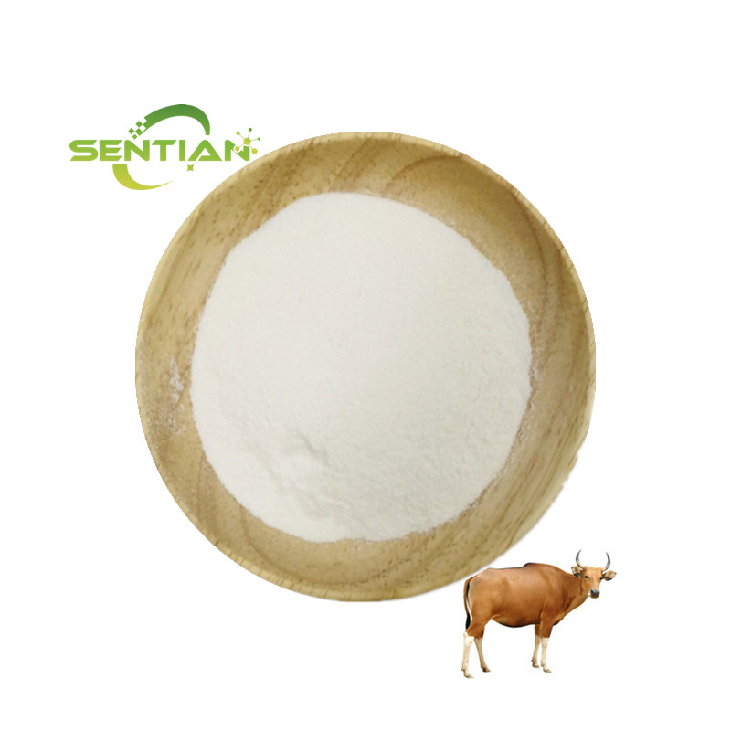 bovine collagen