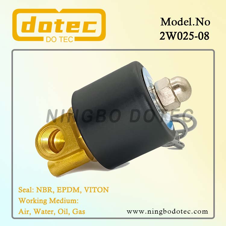 2W025-08 2/2 Way 1/4'' Water Brass Solenoid Valve