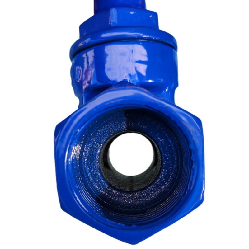 Ductile iron gate valve (2)