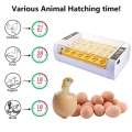 Egg Incubator Full Automatic Incubator 24PCS Duck Bird Egg Small Poultry Incubator Digital Chicken Breeding Box