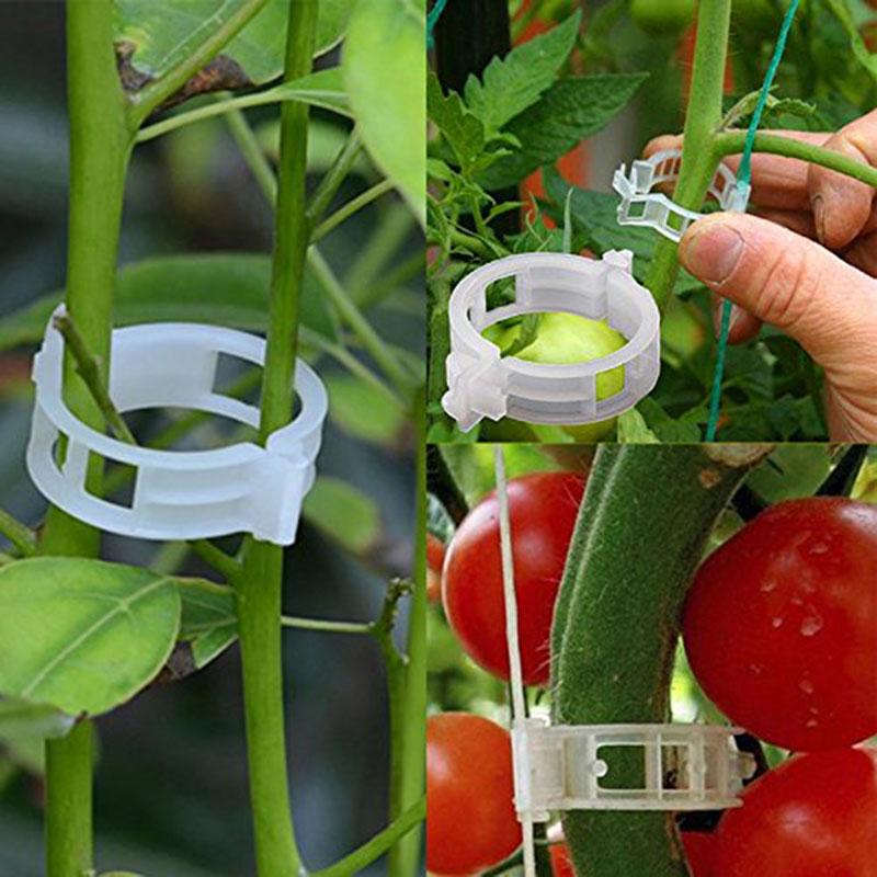 Plastic Plant Support Clips 30/50Pcs Vine Trellis Tomato Stem Vegetable Fixing Clip Garden Greenhouse Accessory Plant Clips